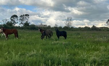 VENTA DE TERRENO EN ACULCO ESTADO DE MÉXICO