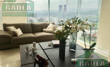 Departamento - Bosque Real