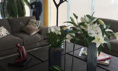 Departamento - Bosque Real