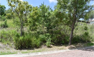 La noria: lote con bonita vista