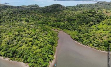 Venta: Isla Brava, Golfo de Chiriqui - Panama