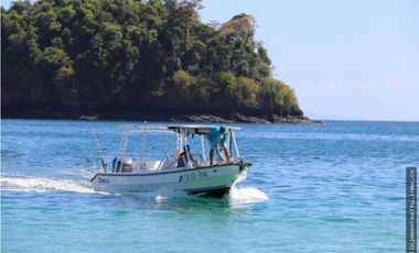 Venta: Isla Brava, Golfo de Chiriqui - Panama