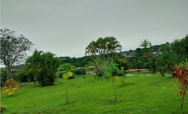 Se Alquila Propiedad Comercial en Vía Principal La Chorrera
