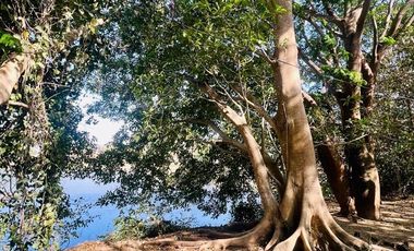 Terrenos Campestres en Venta Residencial Todos los Servicios al Norte de Colima