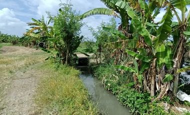 Land for sale views of rice fields, mountains and sea in the Bali tourism zone