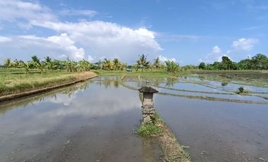 Land for sale views of rice fields, mountains and sea in the Bali tourism zone