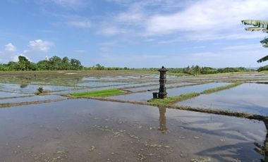 Land for sale views of rice fields, mountains and sea in the Bali tourism zone