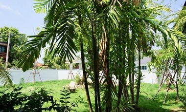 3 bed house for rent or sale in Hang Dong Chiang Mai