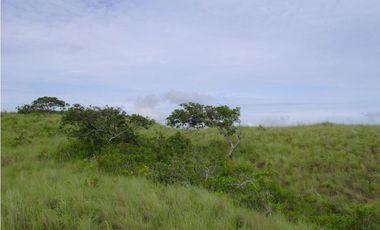 Finca en venta en Veraguas (ID 12295)