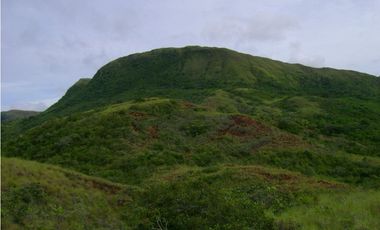 Finca en venta en Veraguas (ID 12295)