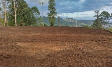 VENTA de LOTES en DOSQUEBRADAS