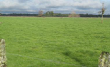 Terreno en venta en Freire, Cautín