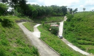 Affordable Ready to Build 100 Sqm Lot for Sale in Consolacion, Cebu