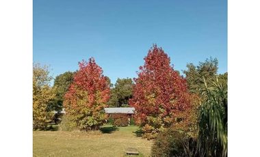 COMPLEJO DE CABANAS EN VENTA MIRAMAR