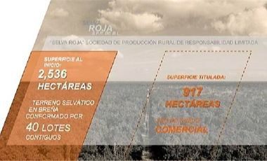 VENTA 917 HECTÁREAS PLAYA DEL CARMEN QUINTANA ROO