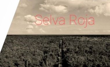 VENTA 917 HECTÁREAS PLAYA DEL CARMEN QUINTANA ROO