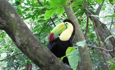 VENTA 917 HECTÁREAS PLAYA DEL CARMEN QUINTANA ROO