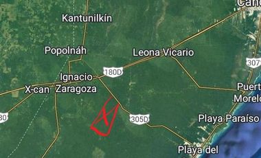 VENTA 917 HECTÁREAS PLAYA DEL CARMEN QUINTANA ROO