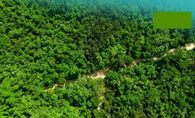 VENTA 917 HECTÁREAS PLAYA DEL CARMEN QUINTANA ROO