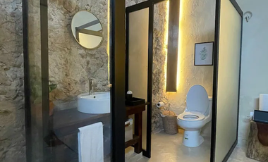 Renta casa Colonial  amueblada en el Centro Historico