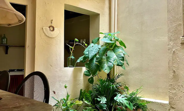 Renta casa Colonial  amueblada en el Centro Historico