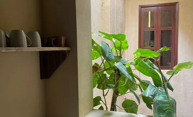 Renta casa Colonial  amueblada en el Centro Historico