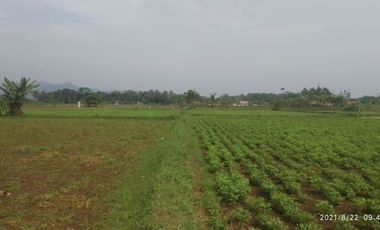 Kavling Perumahan 900 Ribu-an Area Ciseeng