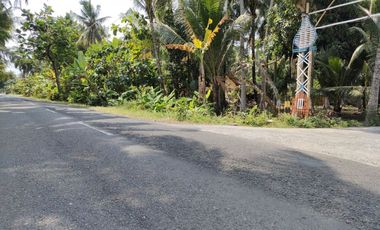 TANAH DAENDELS DEKAT EXIT TOLL CILACAP-JOGJA SERTIPIKAT SHM 1 JT-AN