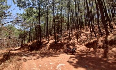 Bonito terreno amplio en zona de Bosque de mazamitla, Jalisco.