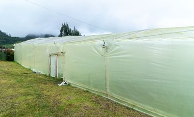 casa en arriendo/venta en sesquilÉ. Cod V1103032