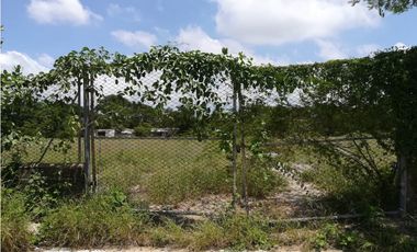 Lote Zona Franca santa Marta Magdalena