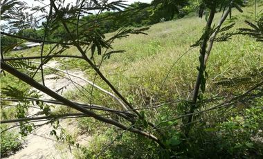 Lote Zona Franca santa Marta Magdalena