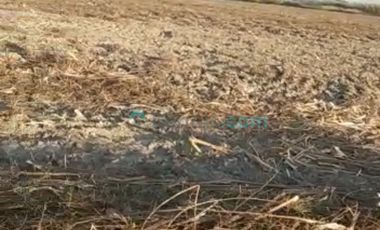 terreno en venta para siembra excelente oportunidad...