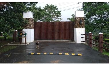 VENDO FINCA EN PACORA 260.000MTS2