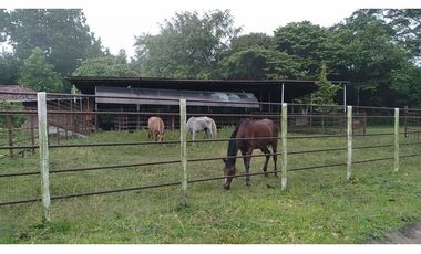 VENDO FINCA EN PACORA 260.000MTS2