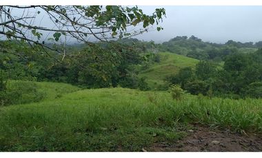 VENDO FINCA EN PACORA 260.000MTS2