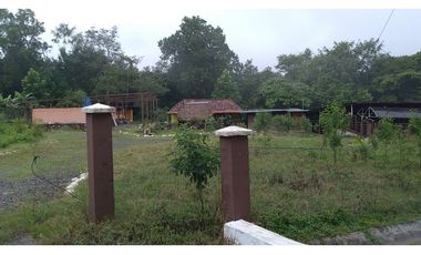 VENDO FINCA EN PACORA 260.000MTS2