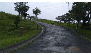 VENDO FINCA EN PACORA 260.000MTS2