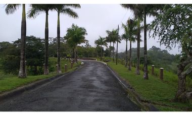 VENDO FINCA EN PACORA 260.000MTS2