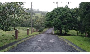 VENDO FINCA EN PACORA 260.000MTS2