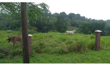 VENDO FINCA EN PACORA 260.000MTS2