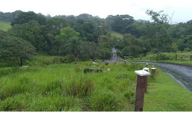 VENDO FINCA EN PACORA 260.000MTS2