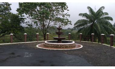 VENDO FINCA EN PACORA 260.000MTS2