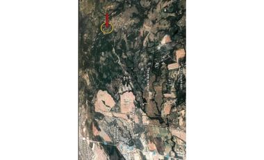 VENDO FINCA EN PACORA 260.000MTS2