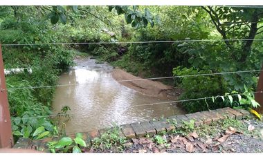 VENDO FINCA EN PACORA 260.000MTS2