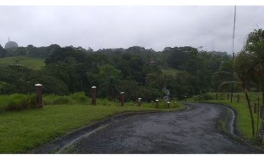 VENDO FINCA EN PACORA 260.000MTS2