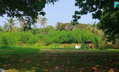 Tanah Pinggir Pantai Anyer Cocok Untuk Area Wisata Villa Kondominium Resort Hotel Dll nya
