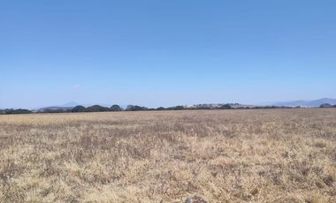 TERRENO 300  HTAS. VENTA JILOTEPEC