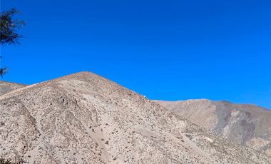 Haz tu sueño realidad. Invierte Valle del Elqui !