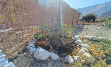 Haz tu sueño realidad. Invierte Valle del Elqui !